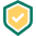Google reCAPTCHA Protection